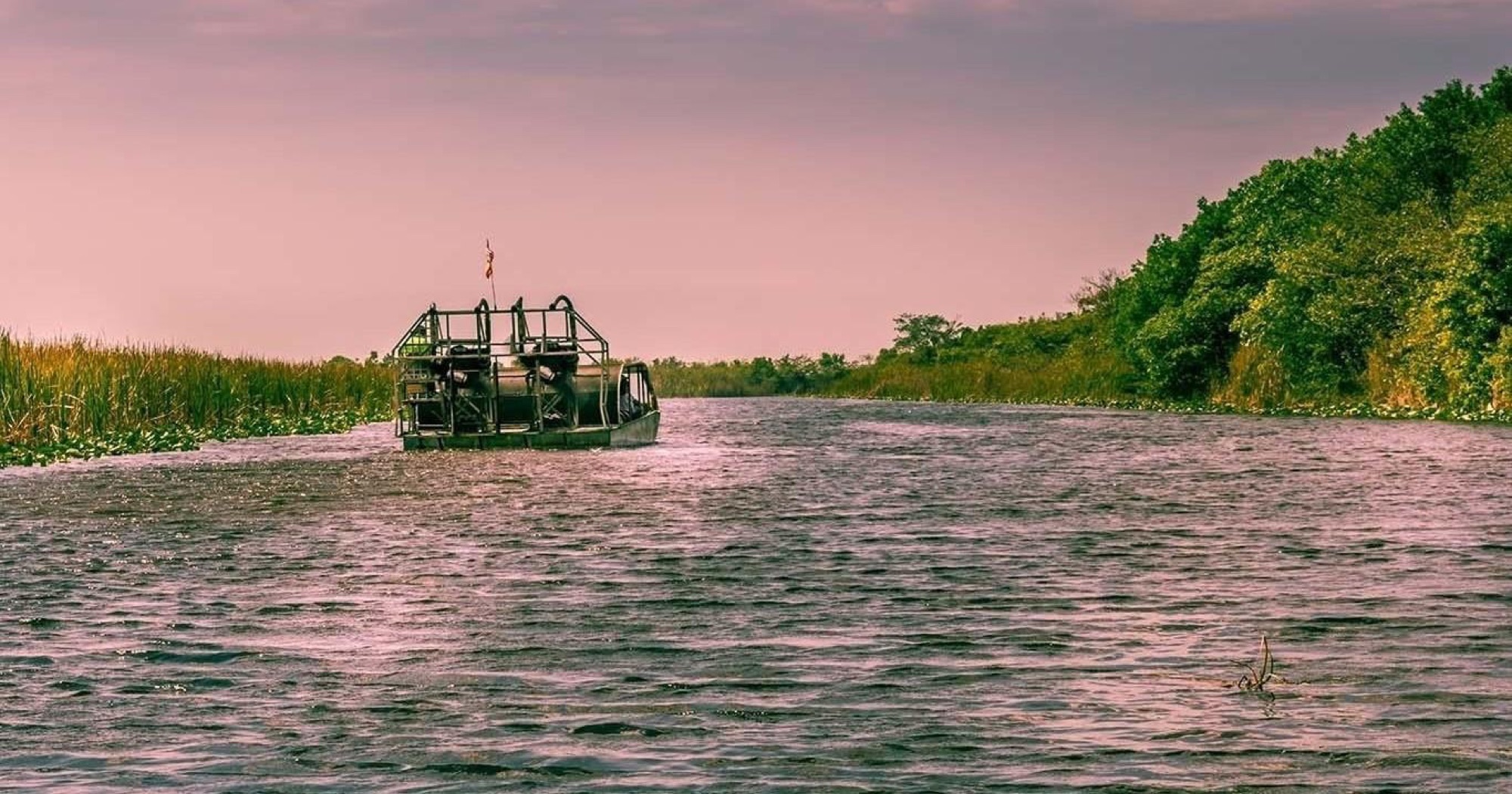 An Aces airboat gliding across the Everglades under a pink dusk sky