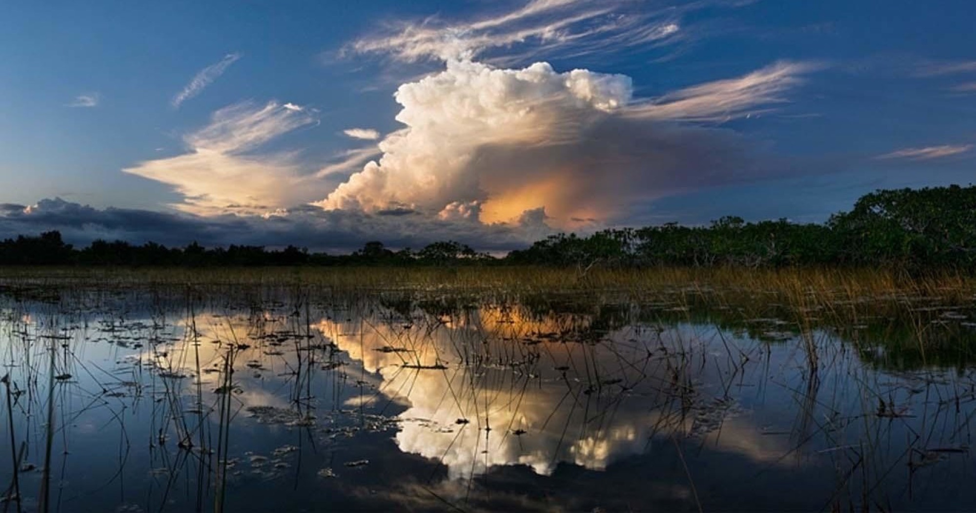 Dramatic storm clouds reflected on mirror-calm Everglades water