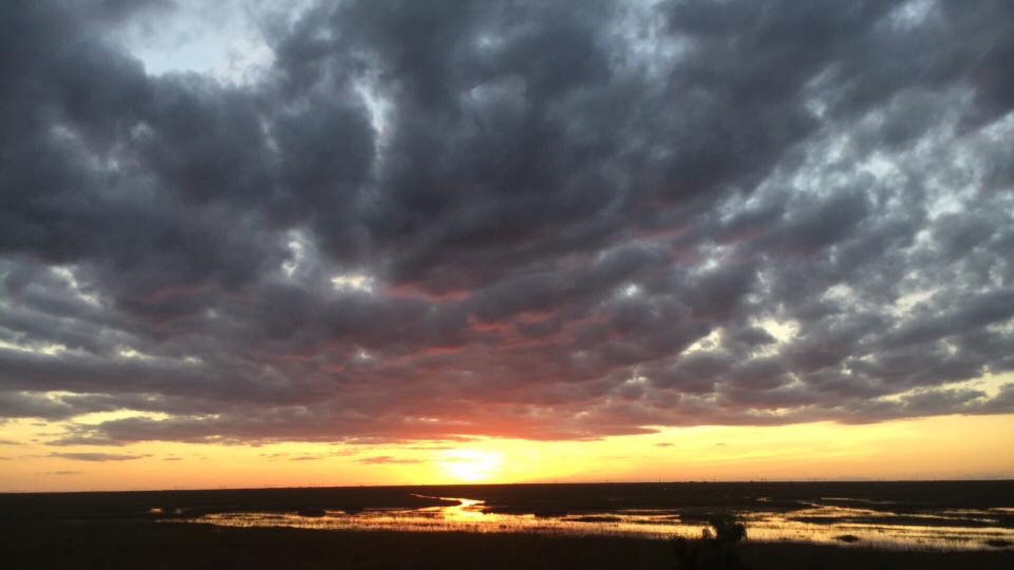 A dramatic cloud-filled sunset over the Everglades on an airboat tour