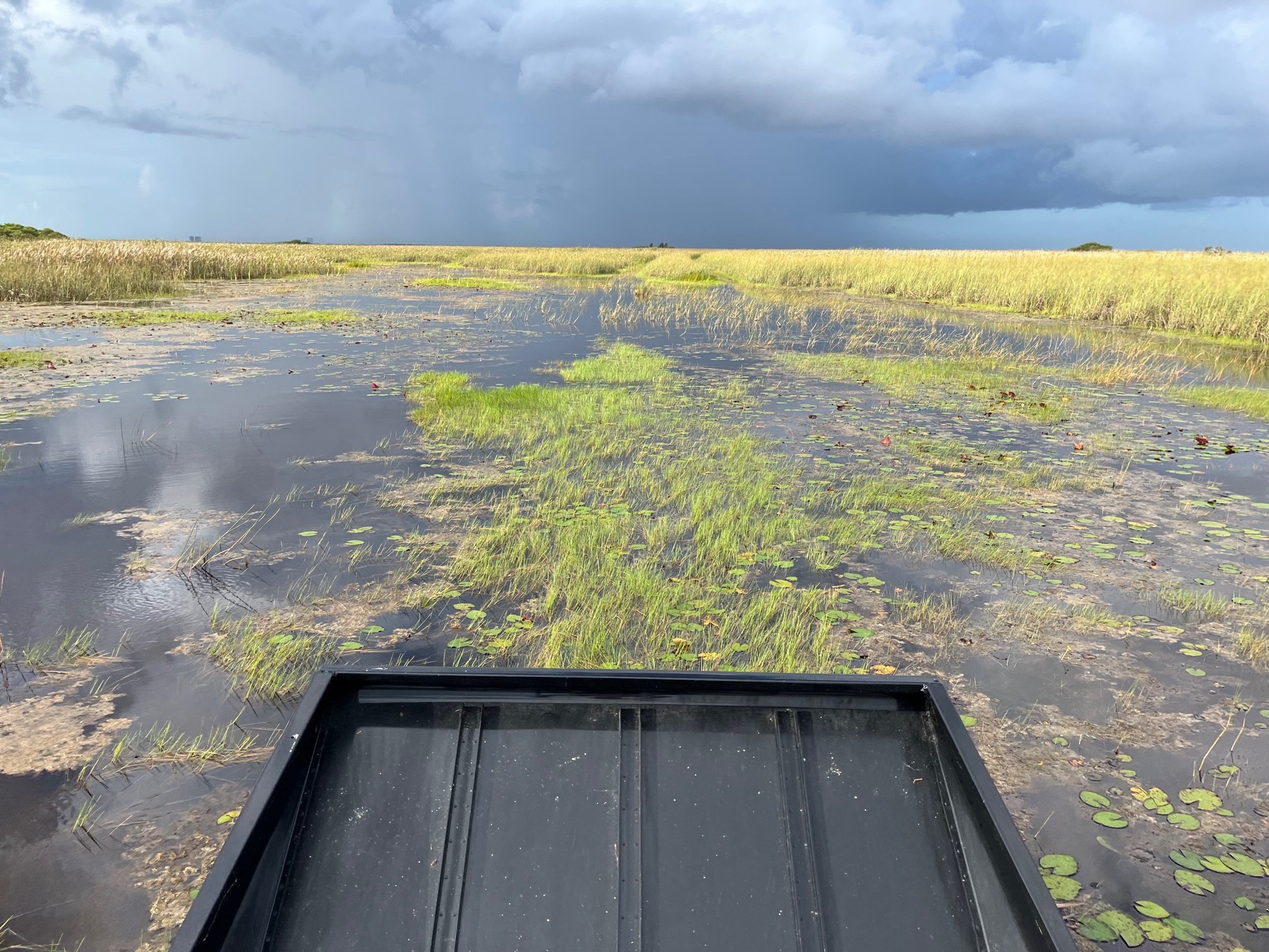The view over an airboat bow across the Everglades marsh under dramatic storm clouds