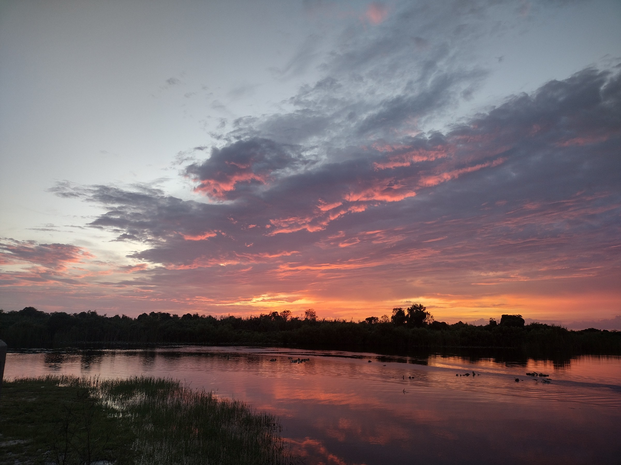 Moody clouds catching the last light over the Everglades marsh