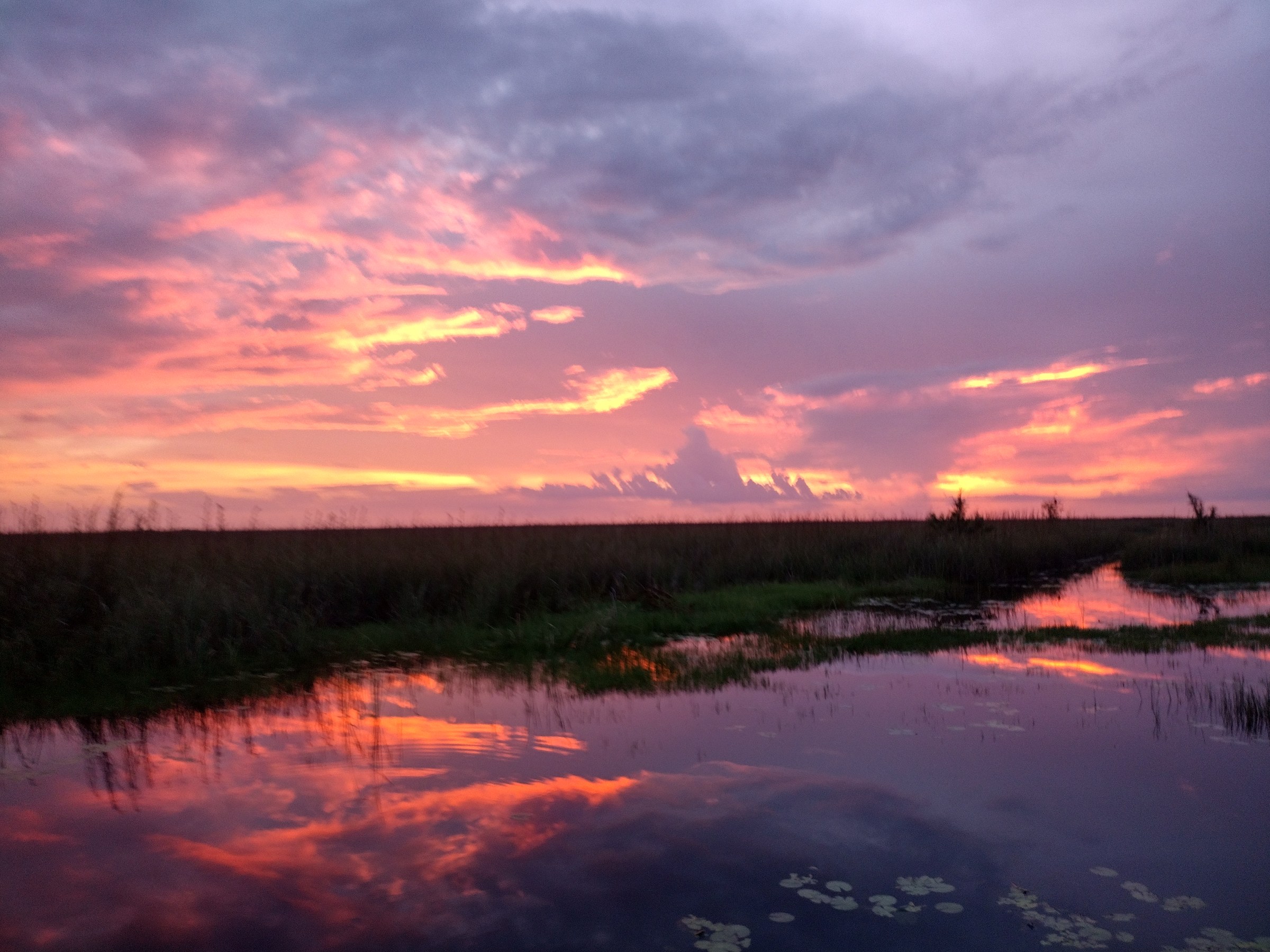 Pink and purple sunset over the Everglades after a private ride from Delray Beach
