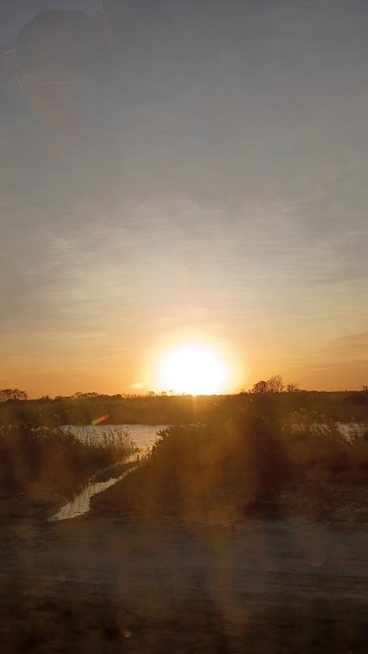 A bright sunrise breaking over a narrow Everglades water trail